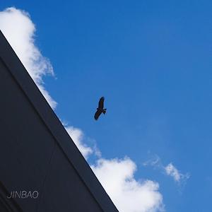 三人闺蜜名一男二女
